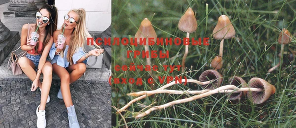 кокс Каменка