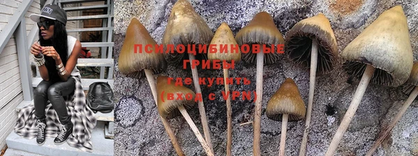 ПСИЛОЦИБИНОВЫЕ ГРИБЫ Каменногорск