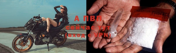 ПСИЛОЦИБИНОВЫЕ ГРИБЫ Каменногорск