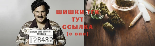 ПСИЛОЦИБИНОВЫЕ ГРИБЫ Каменногорск