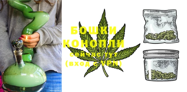 ПСИЛОЦИБИНОВЫЕ ГРИБЫ Каменногорск
